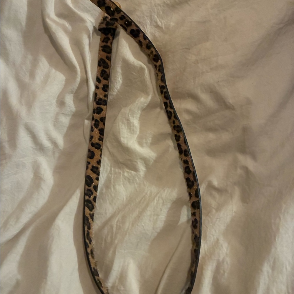 Belt